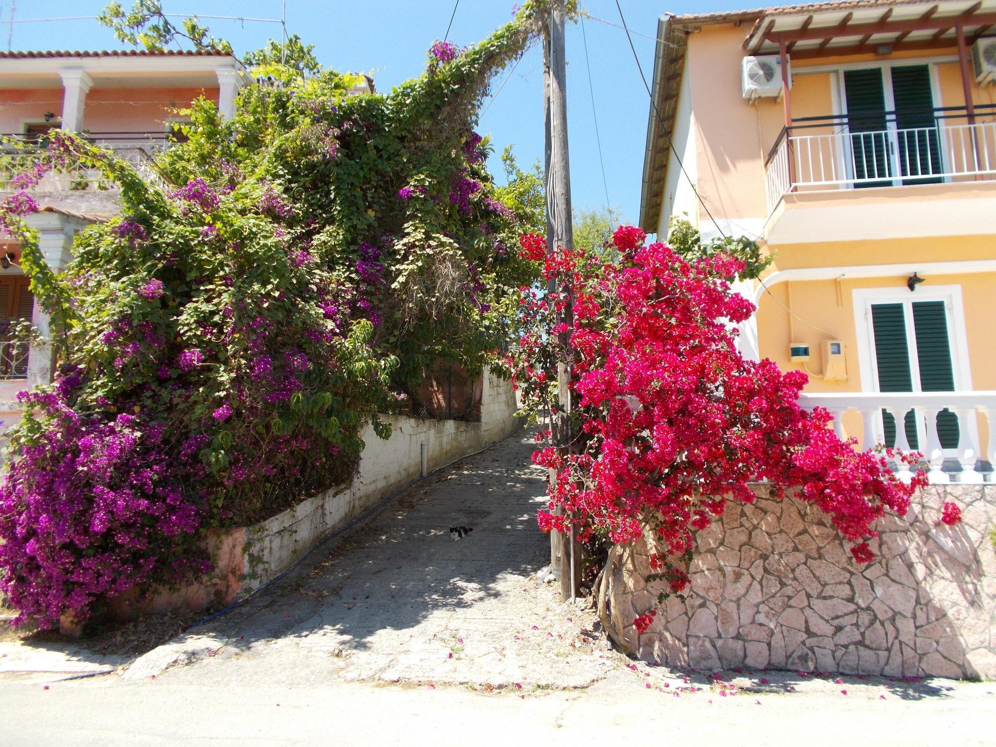 Kavos Panorama Complex Aparthotel Εξωτερικό φωτογραφία